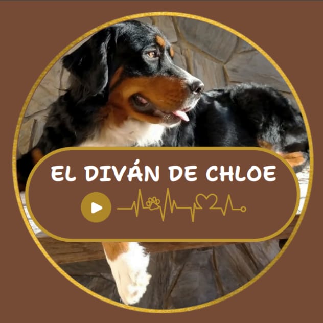 DIVÁN DE CHLOE